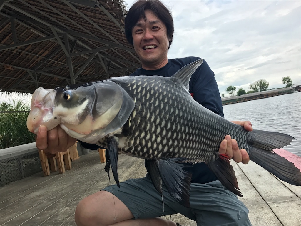 f:id:fishingtripper:20170627133210j:image