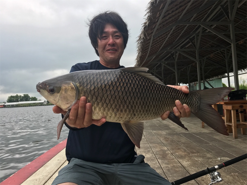 f:id:fishingtripper:20170627133231j:image