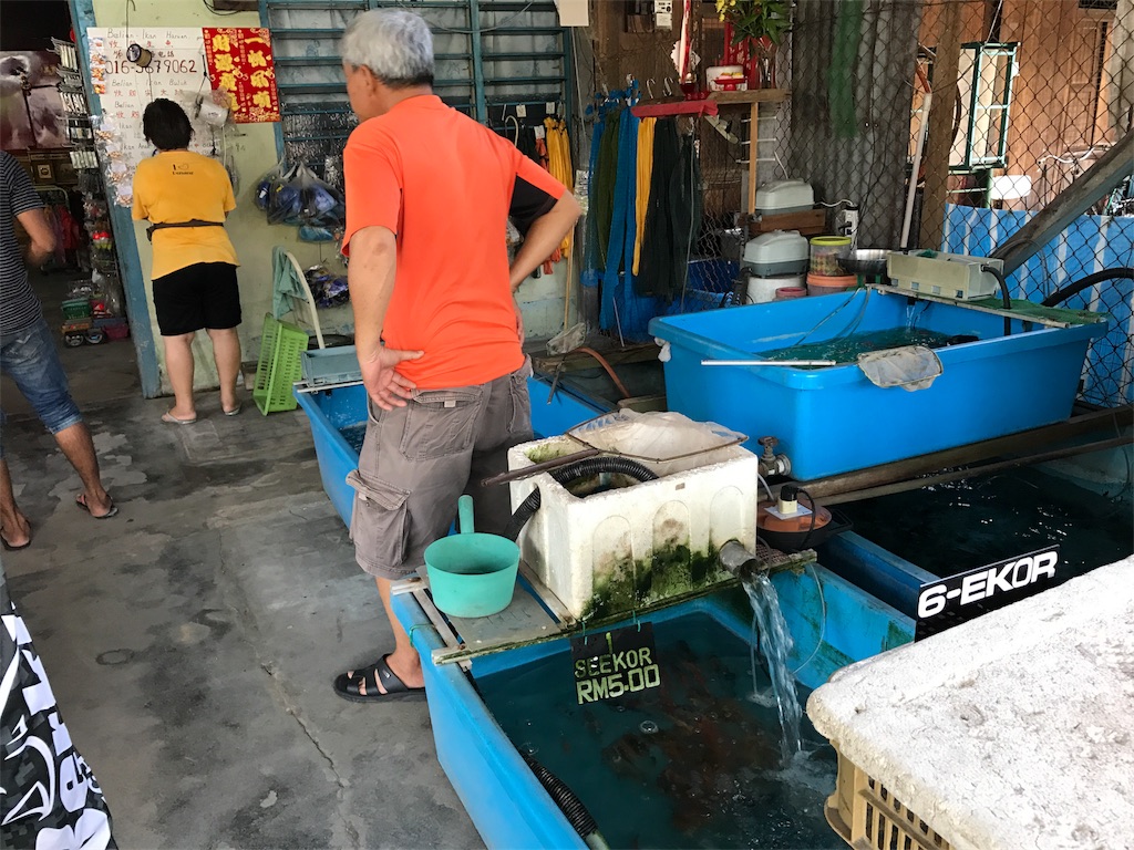 f:id:fishingtripper:20170816151849j:image