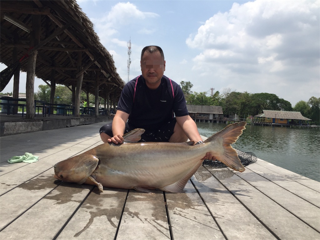 f:id:fishingtripper:20171031103940j:image