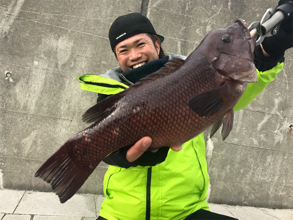 f:id:fishingtripper:20180330062111j:image