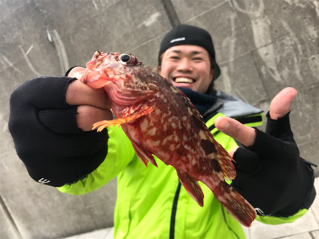 f:id:fishingtripper:20180330062742j:image