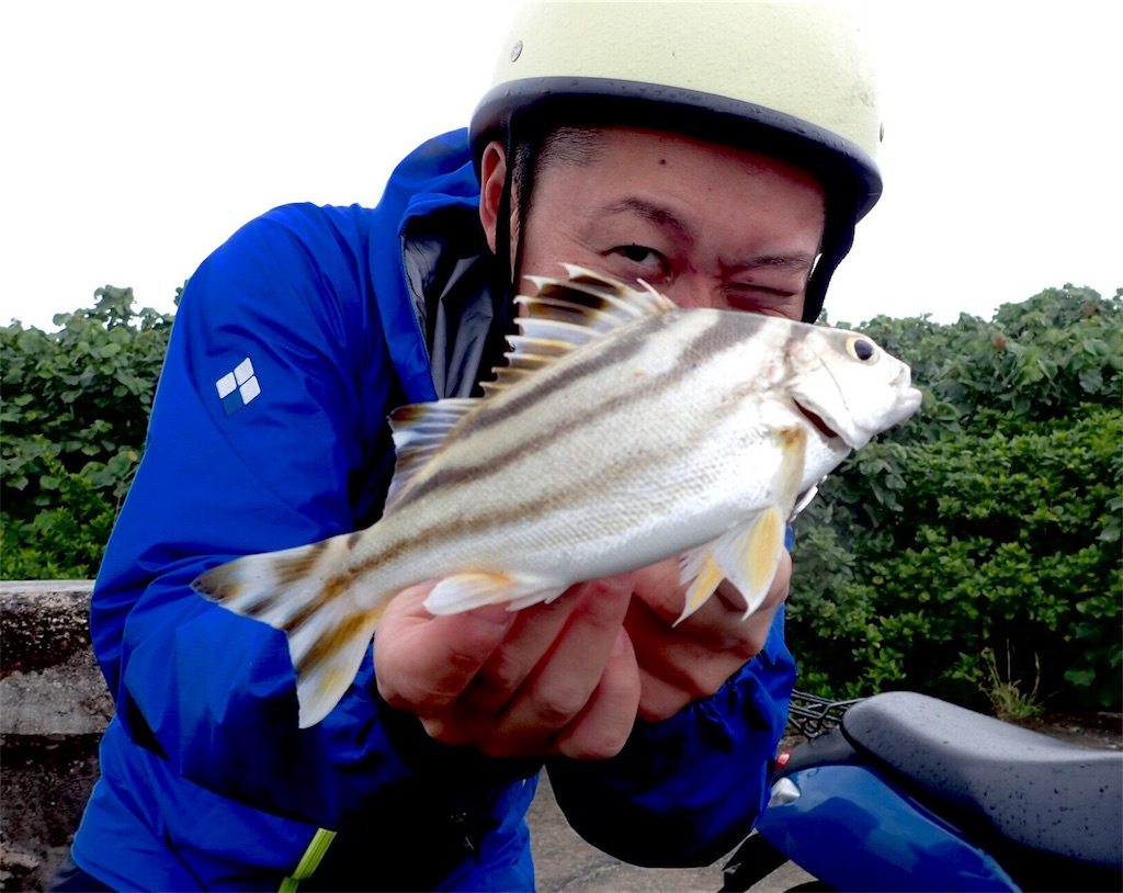 f:id:fishingtripper:20180403093600j:image