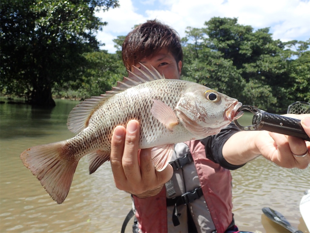 f:id:fishingtripper:20180412142050j:image