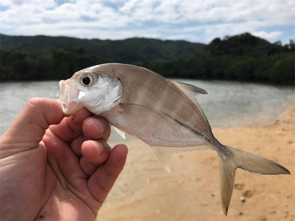 f:id:fishingtripper:20180416124609j:image