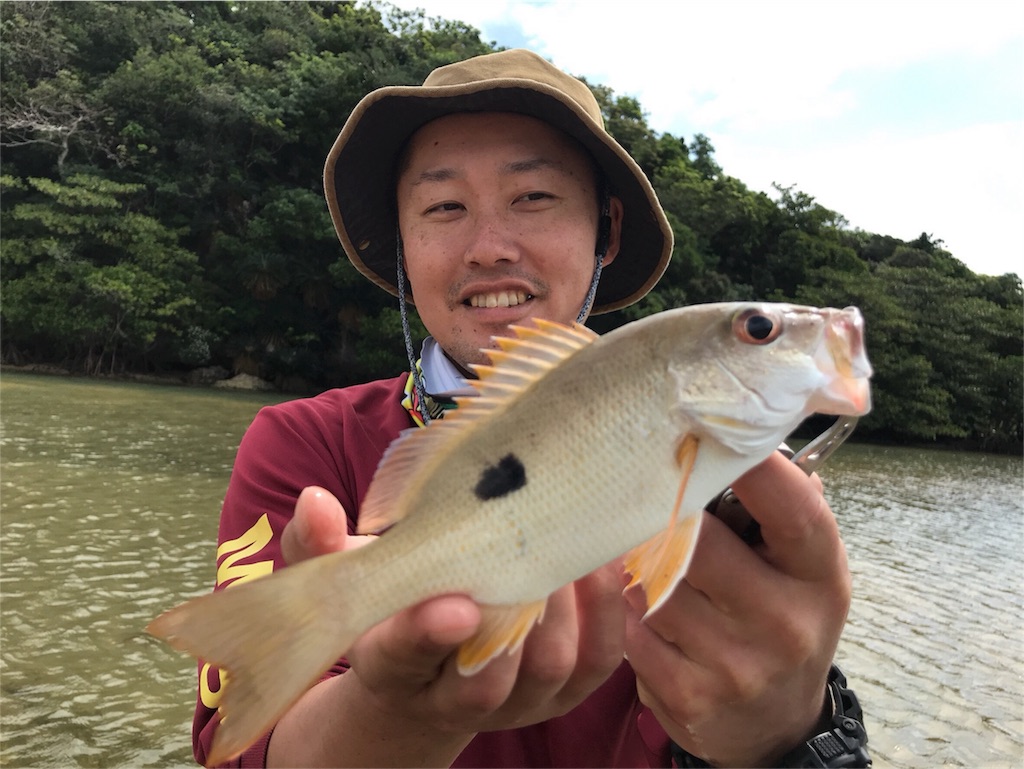 f:id:fishingtripper:20180416144449j:image