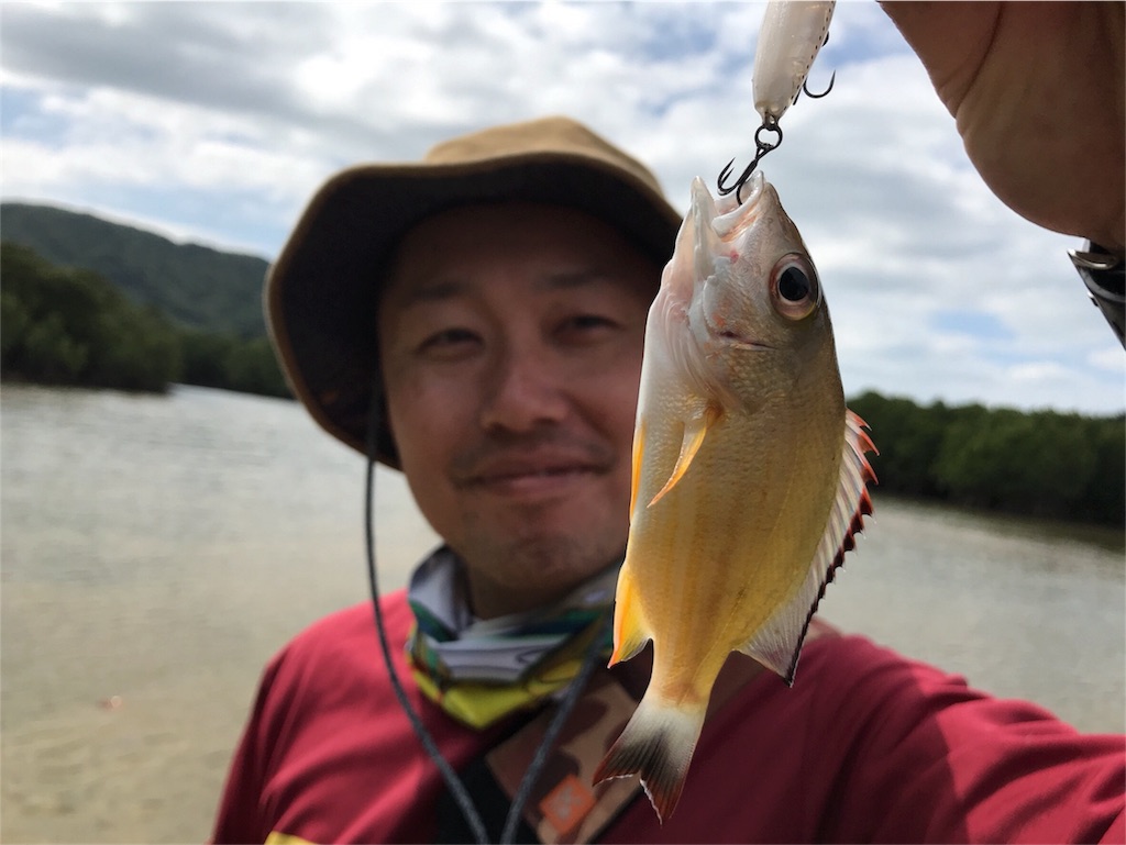 f:id:fishingtripper:20180416144455j:image