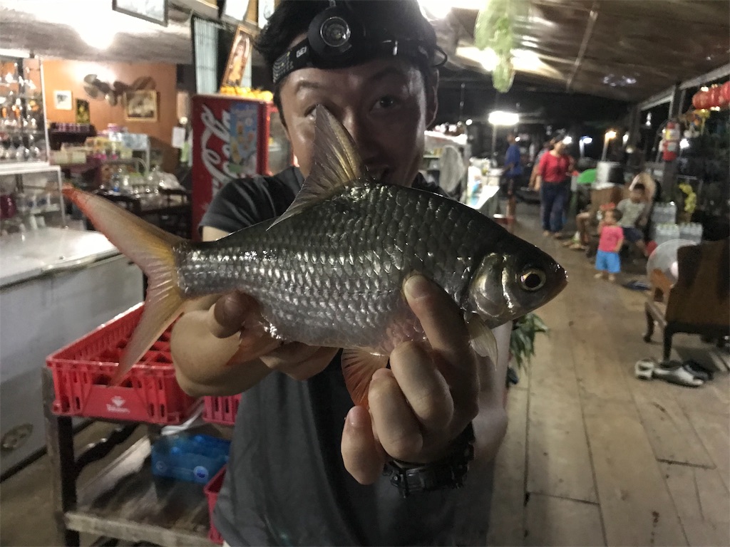 f:id:fishingtripper:20190107123645j:image