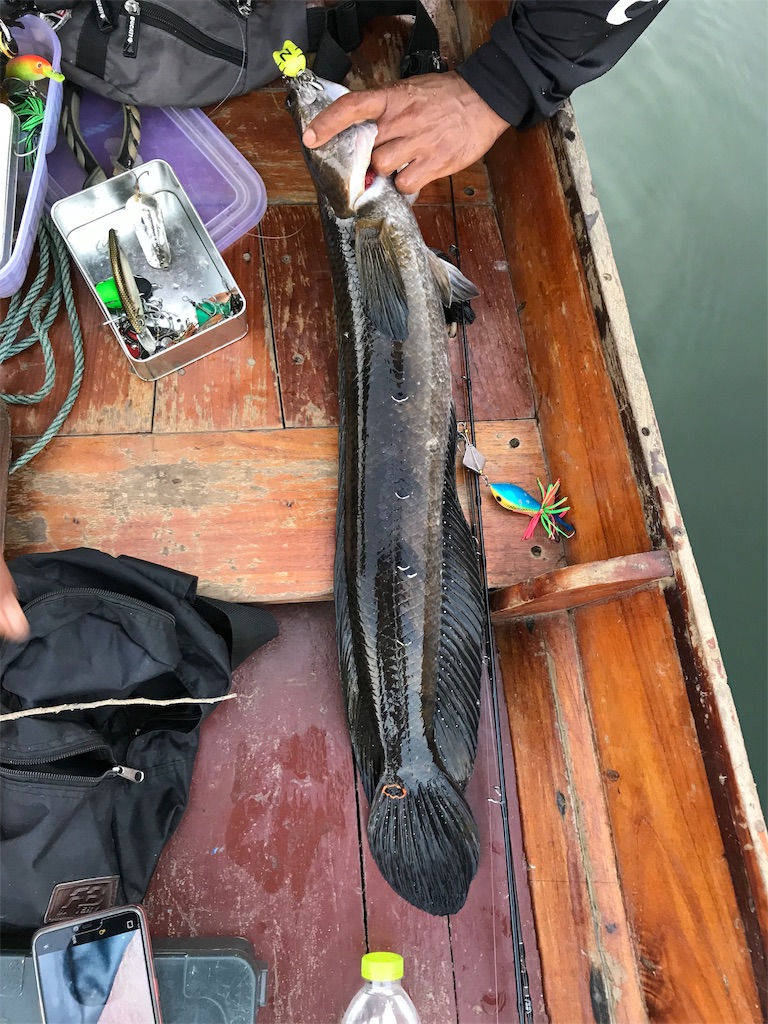 f:id:fishingtripper:20190118102846j:image