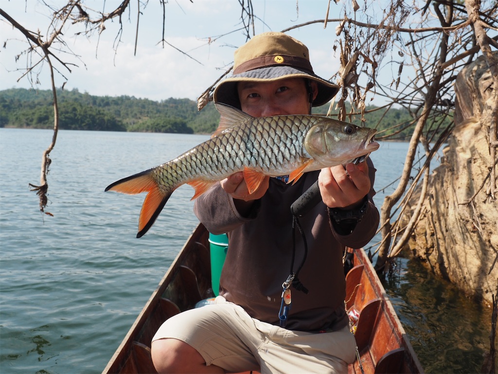 f:id:fishingtripper:20190118102909j:image