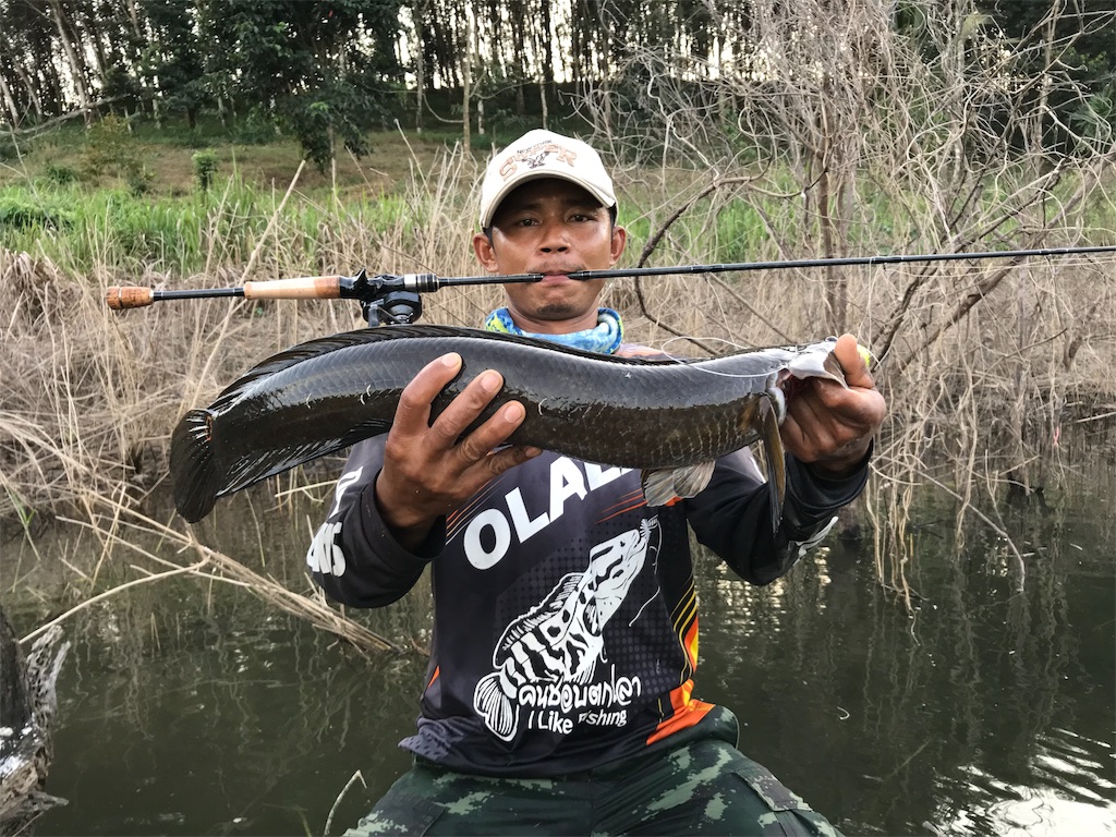 f:id:fishingtripper:20190118102918j:image