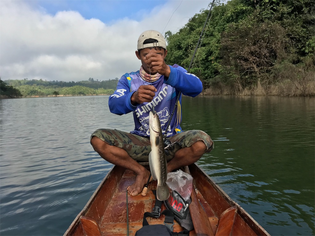 f:id:fishingtripper:20190118103346j:image