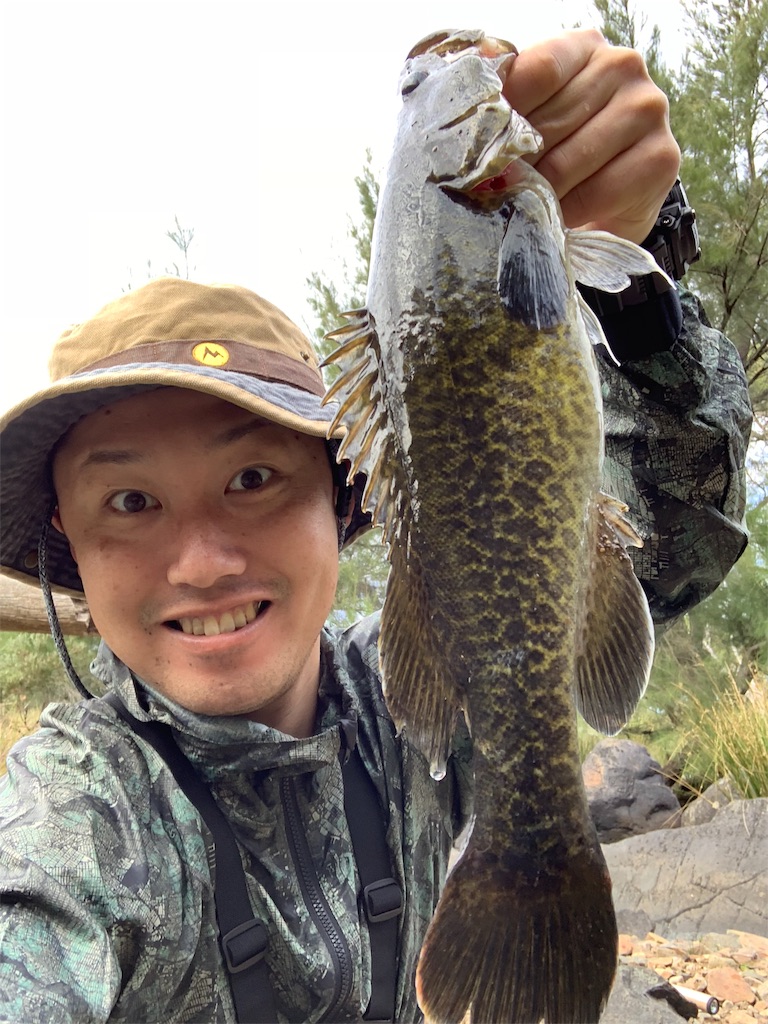 f:id:fishingtripper:20190329124247j:image