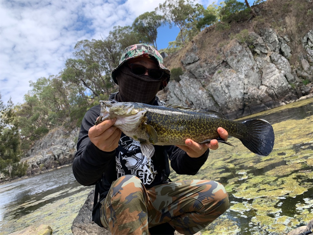 f:id:fishingtripper:20190413082700j:image